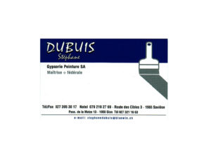 Logo Dubuis Stéphane Gypserie Peinture SA