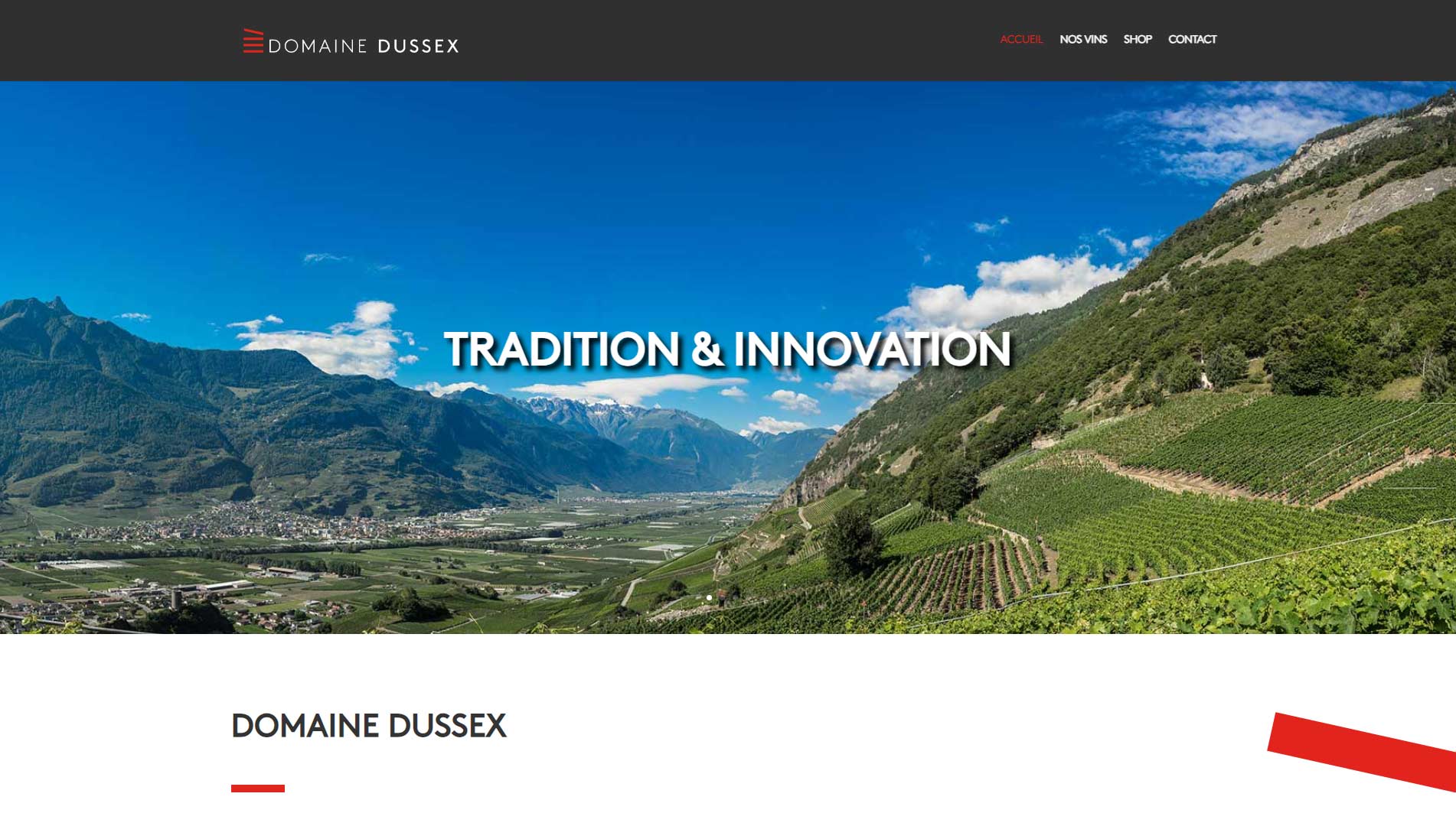 Homepage Domaine Dussex
